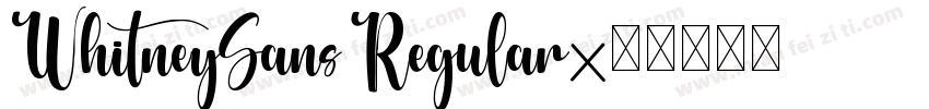WhitneySans Regular字体转换